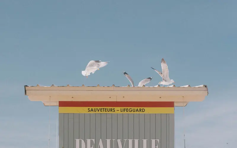 Marche sur la plage de Deauville en fin d’après-midi