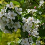 Les 30 lieux prestigieux pour organiser vos séminaires en Normandie