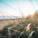 Pourquoi les entreprises parisiennes devraient choisir la Normandie pour leurs séminaires